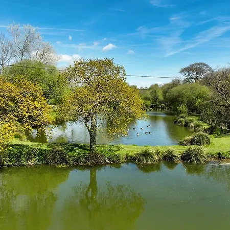 Tatil parkı Meadow Lakes St Austell